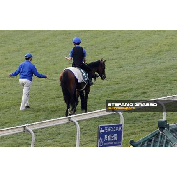 Morning track works at Sha Tin racecourse - Mastery Hong Kong- Sha Tin, 10th dec. 2010 ph. Stefano Grasso
