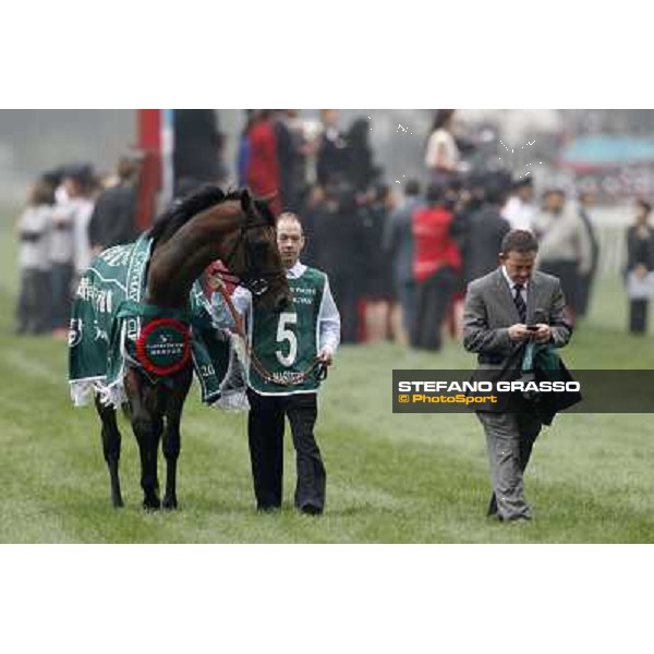 Mastery returns home after winning the Cathay Pacific Hong Kong Vase Hong Kong- Sha Tin, 12th dec. 2010 ph. Stefano Grasso