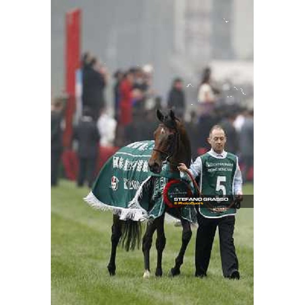 Mastery returns home after winning the Cathay Pacific Hong Kong Vase Hong Kong- Sha Tin, 12th dec. 2010 ph. Stefano Grasso