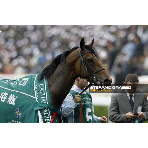 Mastery returns home after winning the Cathay Pacific Hong Kong Vase Hong Kong- Sha Tin, 12th dec. 2010 ph. Stefano Grasso