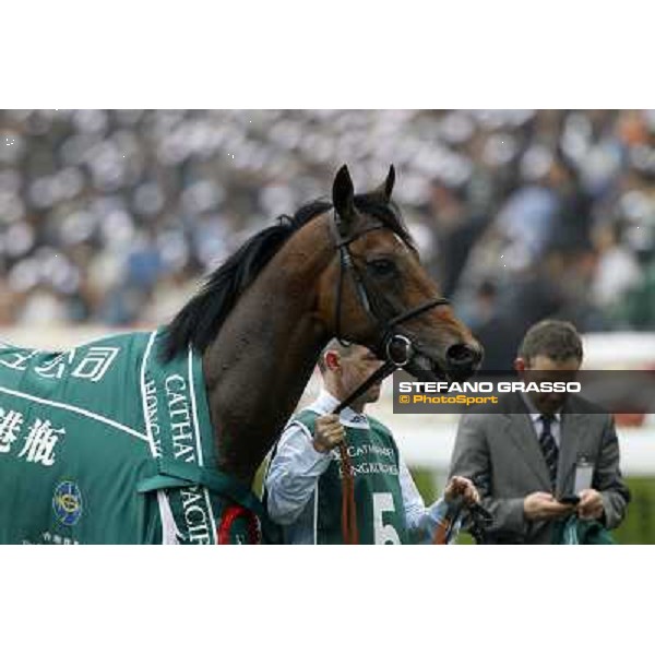 Mastery returns home after winning the Cathay Pacific Hong Kong Vase Hong Kong- Sha Tin, 12th dec. 2010 ph. Stefano Grasso