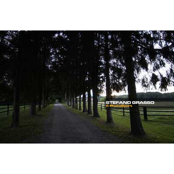 a day at Stud Boesso Capronno, 9th june 2005 ph. Stefano Grasso
