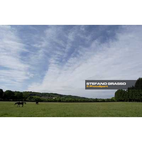 a day at Stud Boesso Capronno, 9th june 2005 ph. Stefano Grasso