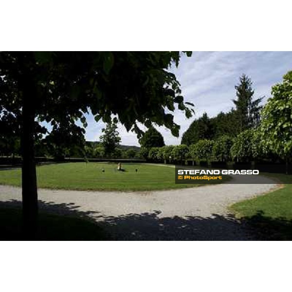 a day at Stud Boesso Capronno, 9th june 2005 ph. Stefano Grasso