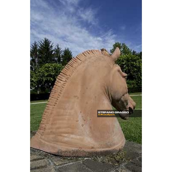 a day at Stud Boesso Capronno, 9th june 2005 ph. Stefano Grasso