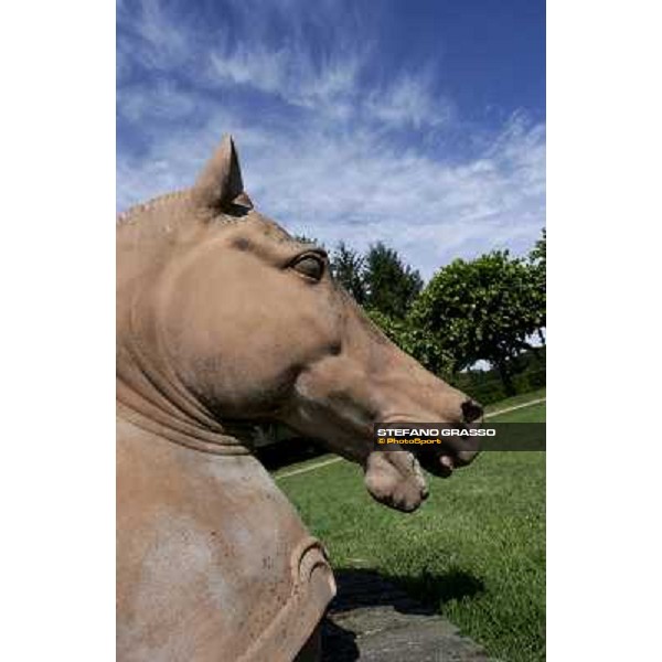 a day at Stud Boesso Capronno, 9th june 2005 ph. Stefano Grasso
