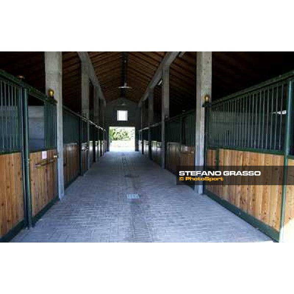 a day at Stud Boesso Capronno, 9th june 2005 ph. Stefano Grasso