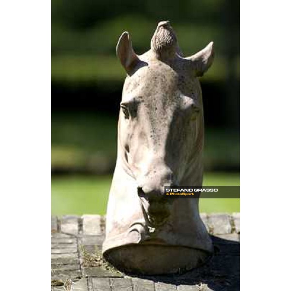 a day at Stud Boesso Capronno, 9th june 2005 ph. Stefano Grasso