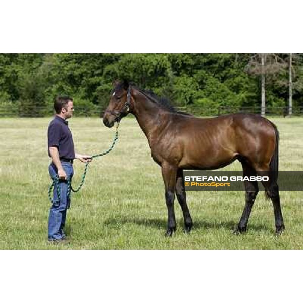 a day at Stud Boesso Capronno, 9th june 2005 ph. Stefano Grasso