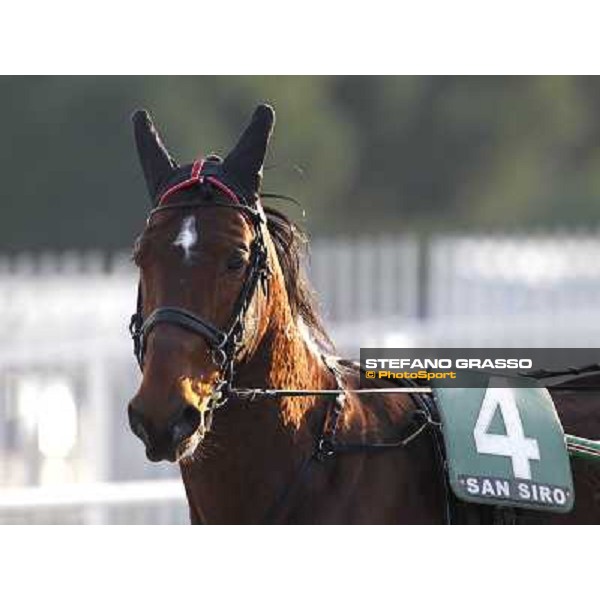 Pietro Gubellini with Revirade wins the Gran Premio Mario Locatelli Milan - San Siro racetrack, 23rd january 2011 ph. Stefano Grasso