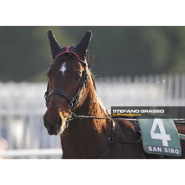 Pietro Gubellini with Revirade wins the Gran Premio Mario Locatelli Milan - San Siro racetrack, 23rd january 2011 ph. Stefano Grasso