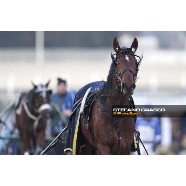 Pietro Gubellini with Revirade wins the Gran Premio Mario Locatelli Milan - San Siro racetrack, 23rd january 2011 ph. Stefano Grasso