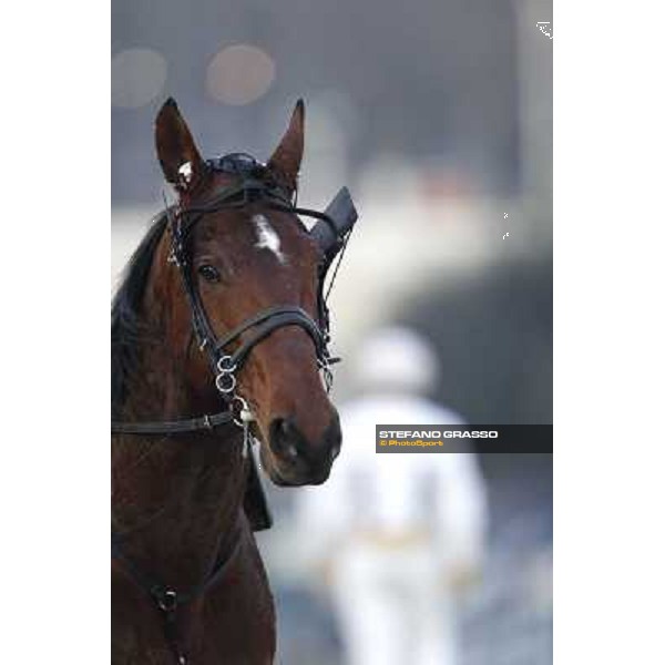 Pietro Gubellini with Revirade wins the Gran Premio Mario Locatelli Milan - San Siro racetrack, 23rd january 2011 ph. Stefano Grasso