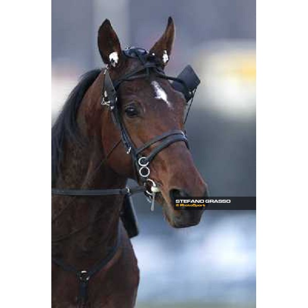 Pietro Gubellini with Revirade wins the Gran Premio Mario Locatelli Milan - San Siro racetrack, 23rd january 2011 ph. Stefano Grasso