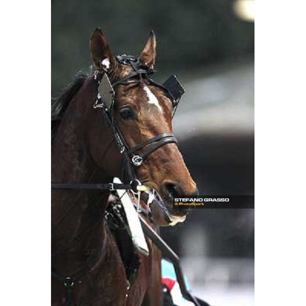 Pietro Gubellini with Revirade wins the Gran Premio Mario Locatelli Milan - San Siro racetrack, 23rd january 2011 ph. Stefano Grasso