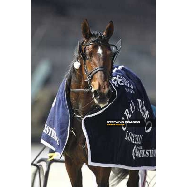 Pietro Gubellini with Revirade wins the Gran Premio Mario Locatelli Milan - San Siro racetrack, 23rd january 2011 ph. Stefano Grasso