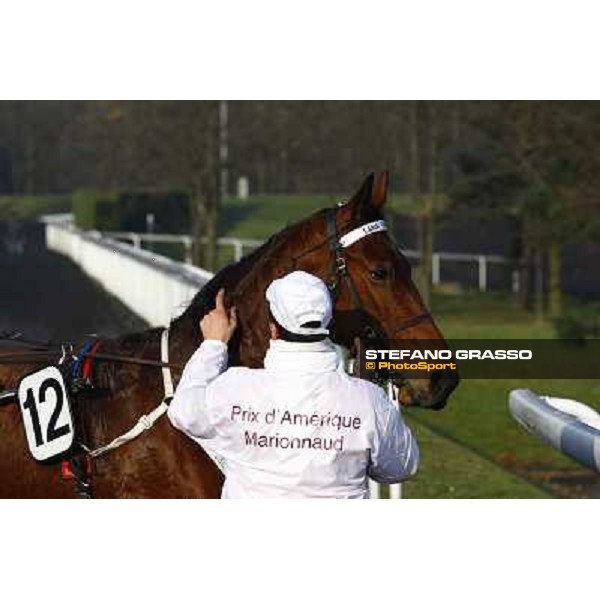 Grand Prix d\'Amerique 2011 - Frank Nivard with Ready Cash wins the Grand Prix d\'Amerique Paris-Vincennes, 30th january 2011 ph. Stefano Grasso