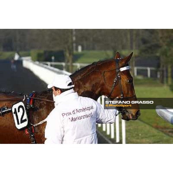 Grand Prix d\'Amerique 2011 - Frank Nivard with Ready Cash wins the Grand Prix d\'Amerique Paris-Vincennes, 30th january 2011 ph. Stefano Grasso