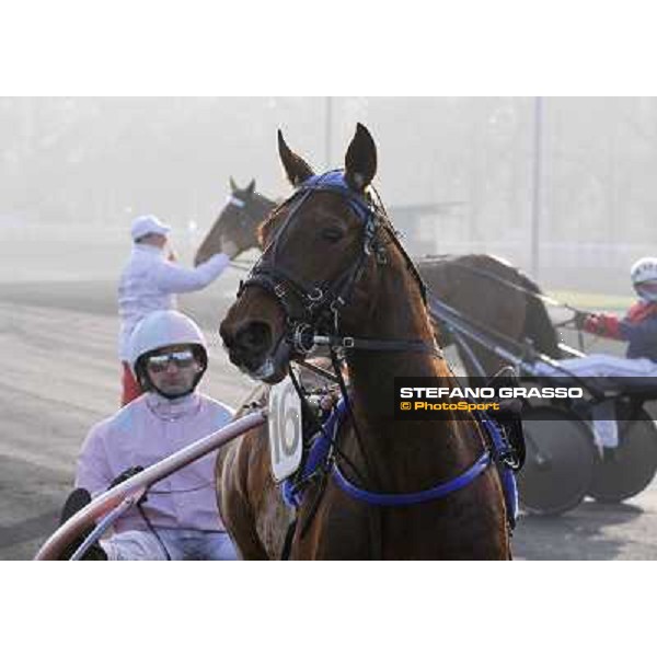 Grand Prix d\'Amerique 2011 - Frank Nivard with Ready Cash wins the Grand Prix d\'Amerique Paris-Vincennes, 30th january 2011 ph. Stefano Grasso