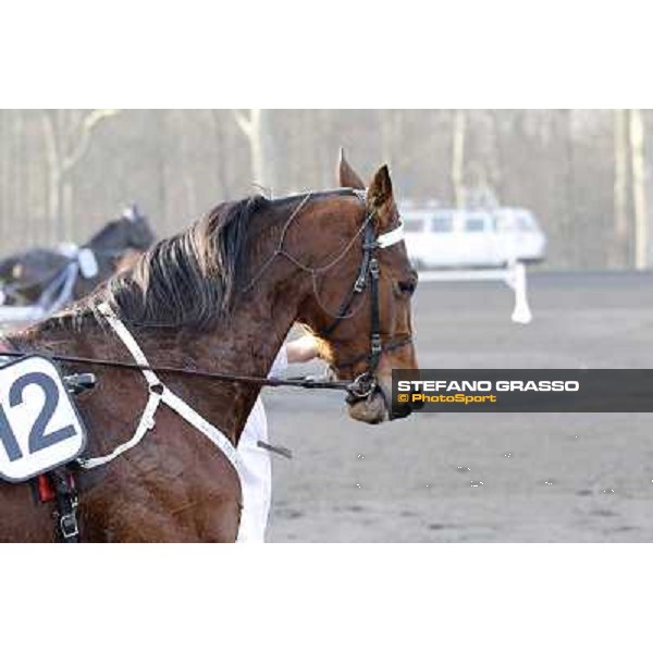 Grand Prix d\'Amerique 2011 - Frank Nivard with Ready Cash wins the Grand Prix d\'Amerique Paris-Vincennes, 30th january 2011 ph. Stefano Grasso