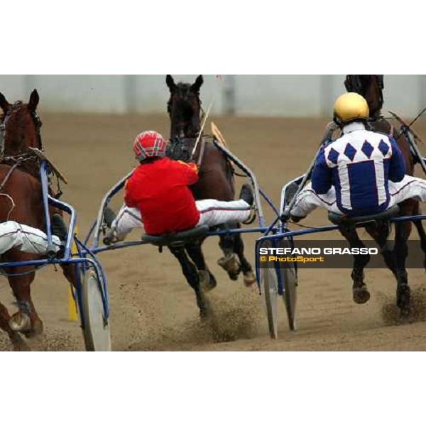 immediately after the start, Pippo Gubellini and Daguet Rapide lead on Nordic Gold November Torino, 16th october 2004 ph. Stefano Grasso