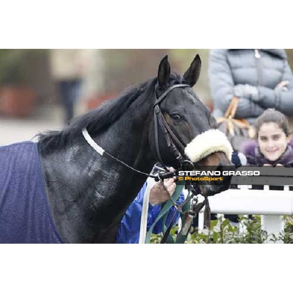 Dagda Mor walks in the winner circle after winning the Premio Enrico Camici Pisa - San Rossore racetrack, 13th february 2011 ph.Stefano Grasso - www.stefanograsso.com