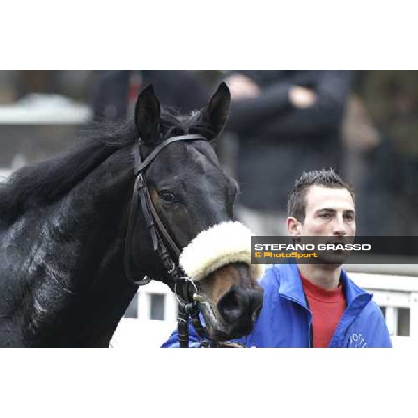 Dagda Mor walks in the winner circle after winning the Premio Enrico Camici Pisa - San Rossore racetrack, 13th february 2011 ph.Stefano Grasso - www.stefanograsso.com