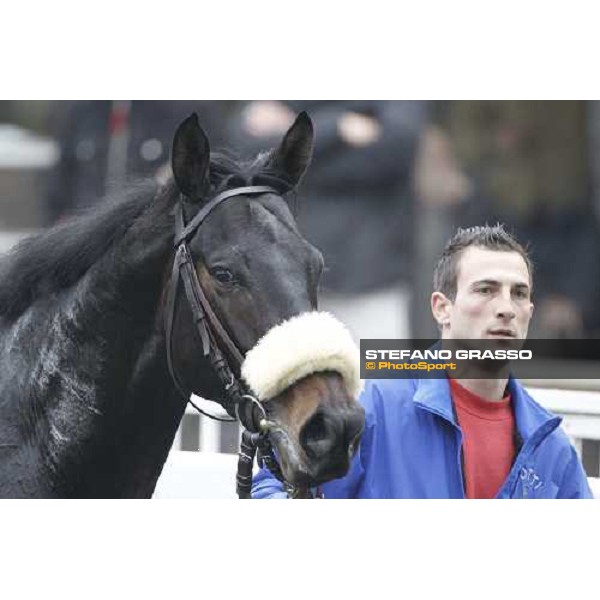 Dagda Mor walks in the winner circle after winning the Premio Enrico Camici Pisa - San Rossore racetrack, 13th february 2011 ph.Stefano Grasso - www.stefanograsso.com