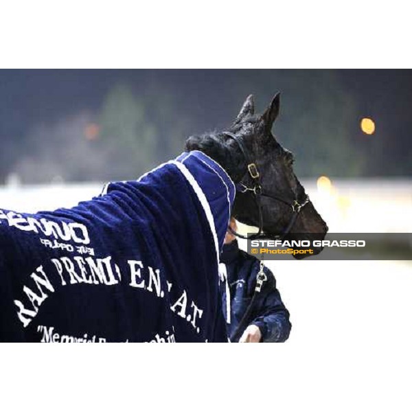 Pietro Gubellini with Merckx Ok wins the Gran Premio Encat - Memorial Fausto Branchini beating Moses Rob Milan - San Siro racetrack, 20th febr. 2011 ph.Stefano Grasso - www.stefanograsso.com
