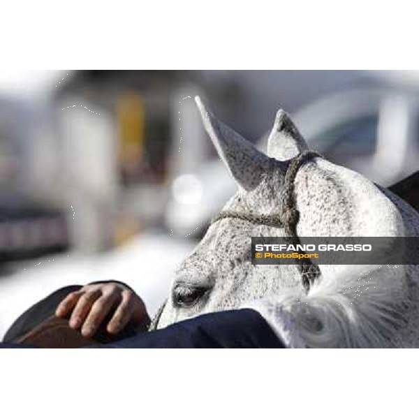 Moments and Emotions at Cortina Winter Polo Lake of Misurina, 24th february 2011 ph.Stefano Grasso