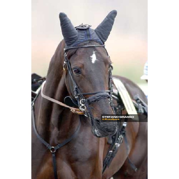 PAris - Amerique 2004 close up for Abano As ph. Stefano Grasso