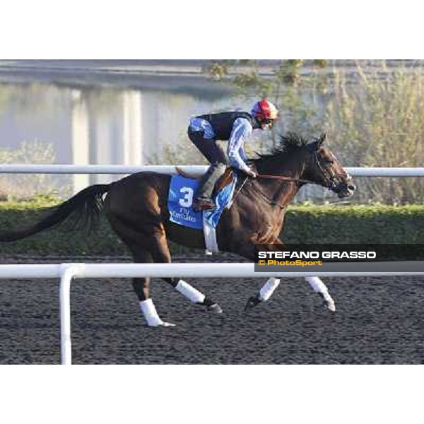 Godolphin Media Morning - Frankie Dettori on Shakespearean Dubai - Al Quoz 23rd march 2011 ph.Stefano Grasso