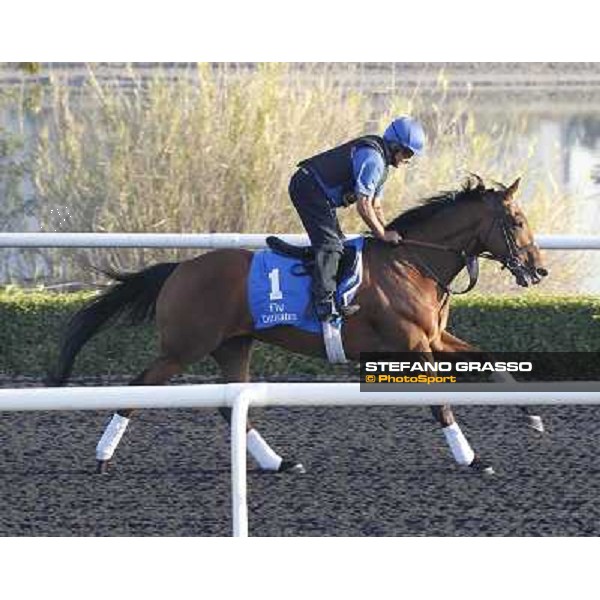 Godolphin Media Morning - River Tiber Dubai - Al Quoz 23rd march 2011 ph.Stefano Grasso