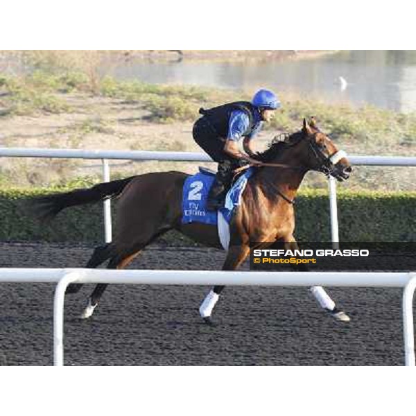 Godolphin Media Morning - Campanologist Dubai - Al Quoz 23rd march 2011 ph.Stefano Grasso