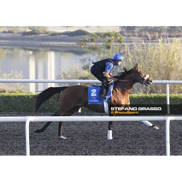 Godolphin Media Morning - Campanologist Dubai - Al Quoz 23rd march 2011 ph.Stefano Grasso