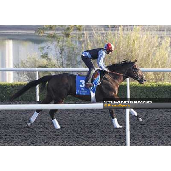 Godolphin Media Morning - Frankie Dettori on Shakespearean Dubai - Al Quoz 23rd march 2011 ph.Stefano Grasso
