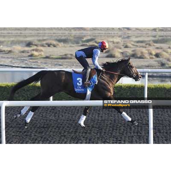Godolphin Media Morning - Frankie Dettori on Shakespearen Dubai - Al Quoz 23rd march 2011 ph.Stefano Grasso