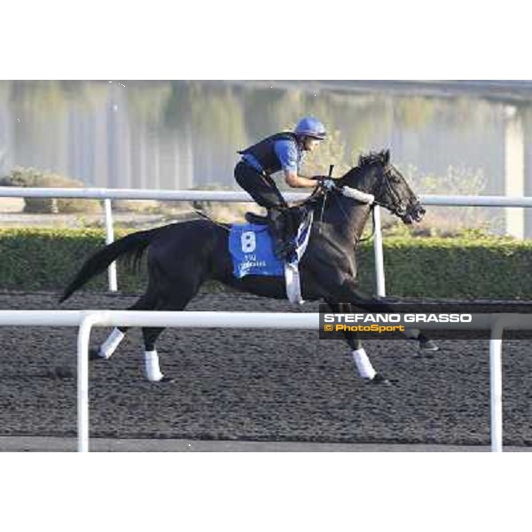 Godolphin Media Morning - Skysurfers Dubai - Al Quoz 23rd march 2011 ph.Stefano Grasso