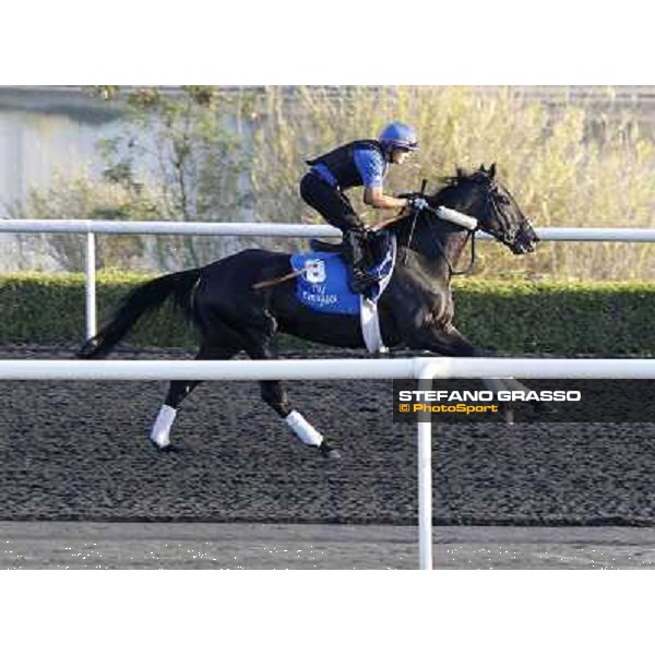 Godolphin Media Morning - Skysurfers Dubai - Al Quoz 23rd march 2011 ph.Stefano Grasso