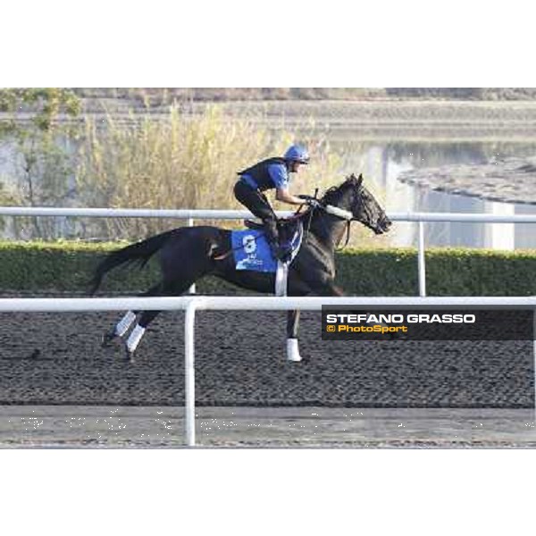 Godolphin Media Morning - Skysurfers Dubai - Al Quoz 23rd march 2011 ph.Stefano Grasso