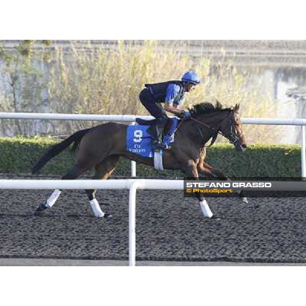 Godolphin Media Morning - Khawlah Dubai - Al Quoz 23rd march 2011 ph.Stefano Grasso