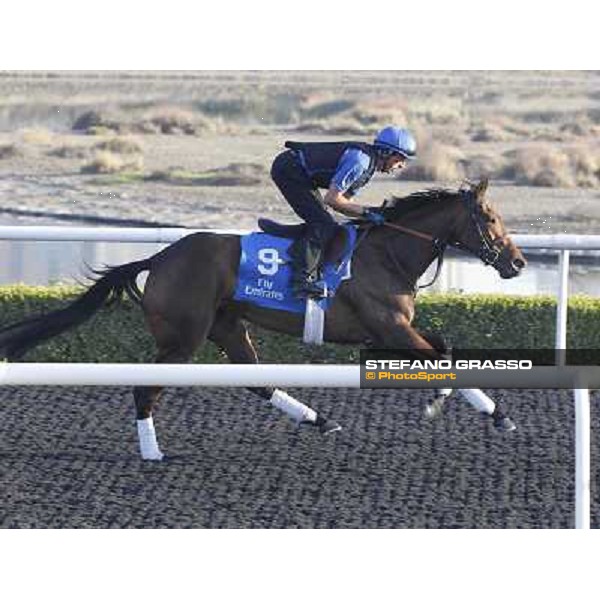 Godolphin Media Morning - Khawlah Dubai - Al Quoz 23rd march 2011 ph.Stefano Grasso