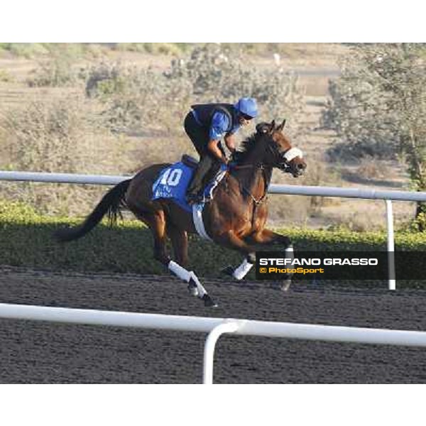 Godolphin Media Morning - White Moonstone Dubai - Al Quoz 23rd march 2011 ph.Stefano Grasso