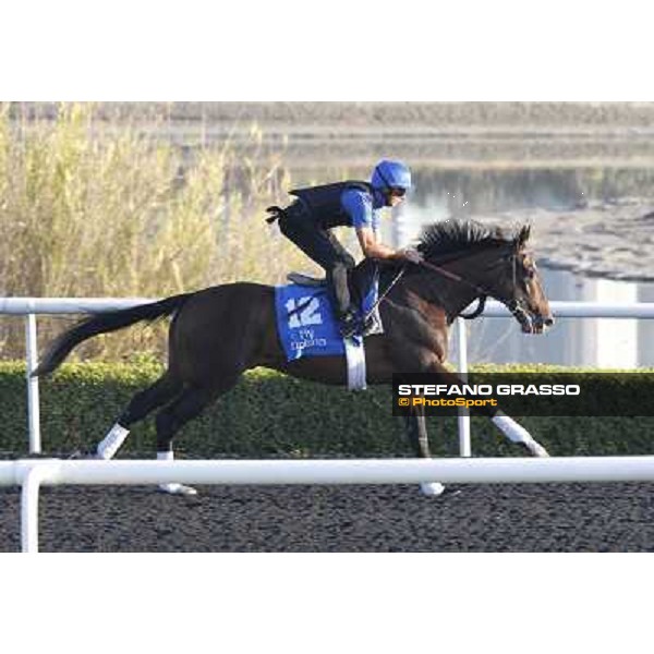 Godolphin Media Morning - Badeel Dubai - Al Quoz 23rd march 2011 ph.Stefano Grasso