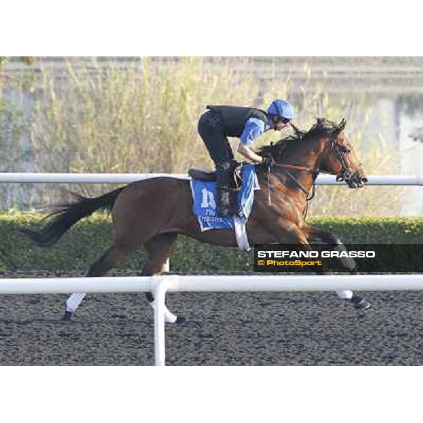 Godolphin Media Morning - Saamidd Dubai - Al Quoz 23rd march 2011 ph.Stefano Grasso