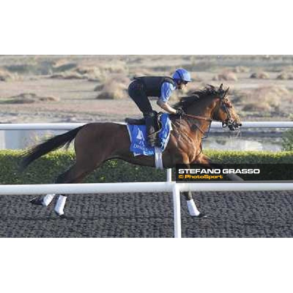 Godolphin Media Morning - Saamidd Dubai - Al Quoz 23rd march 2011 ph.Stefano Grasso