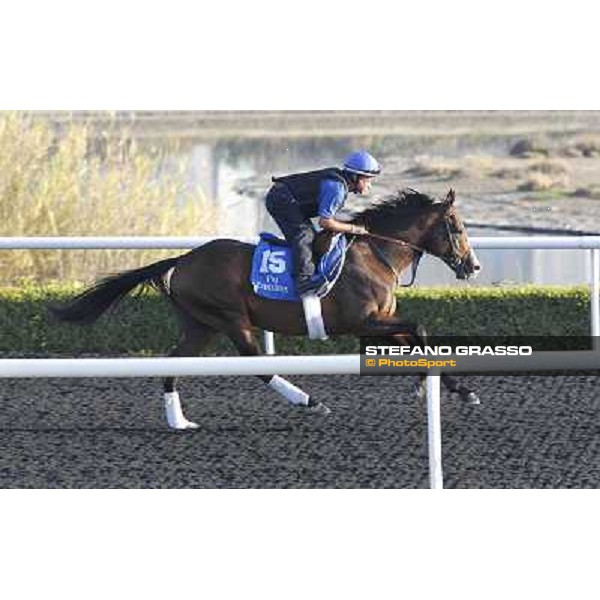 Godolphin Media Morning - Delegator Dubai - Al Quoz 23rd march 2011 ph.Stefano Grasso