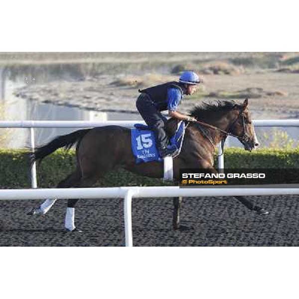 Godolphin Media Morning - Delegator Dubai - Al Quoz 23rd march 2011 ph.Stefano Grasso