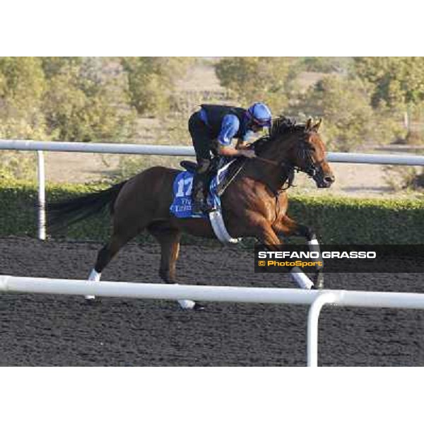 Godolphin Media Morning - Wolf Heart Dubai - Al Quoz 23rd march 2011 ph.Stefano Grasso