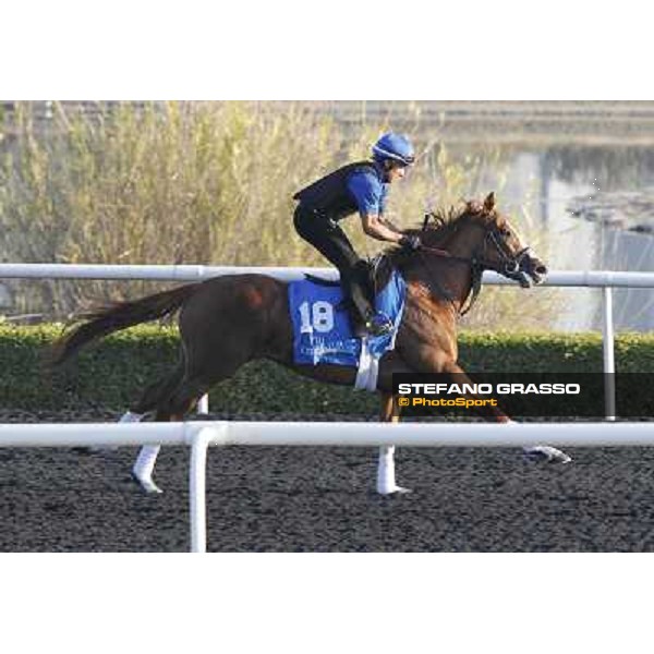 Godolphin Media Morning - Al Biruni Dubai - Al Quoz 23rd march 2011 ph.Stefano Grasso